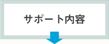 サポート内容