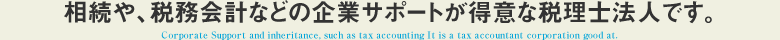 相続や、税務会計などの企業サポートが得意な税理士法人です。
