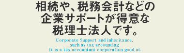 相続や、税務会計などの企業サポートが得意な税理士法人です。