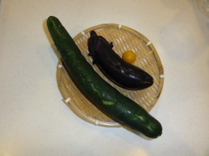 野菜の収穫①